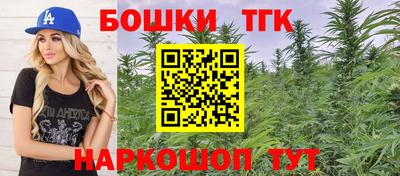 индика Нижний Тагил