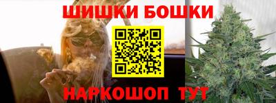 индика Нижний Тагил