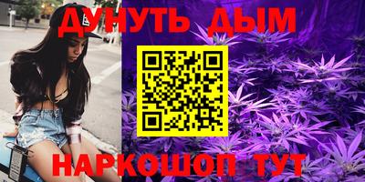 стафф Новоалександровск