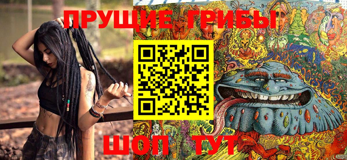 Борзя  купить   Вход с VPN  Галлюциногенные грибы Cubensis 